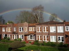 Rosegate rainbow